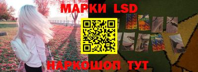 стаф Берёзовский