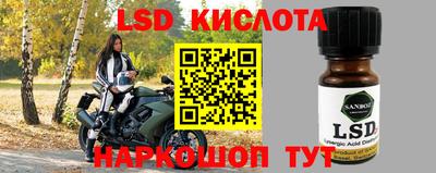 стаф Берёзовский