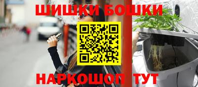 стаф Берёзовский