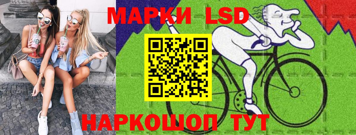 Камышин  Наркотические марки  купить наркотик  Вход с VPN  Наркотические марки 1,5мг  Наркотические марки 1,5мг 