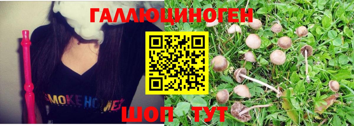 Камышин  Псилоцибиновые грибы Magic Shrooms  Вход с VPN 