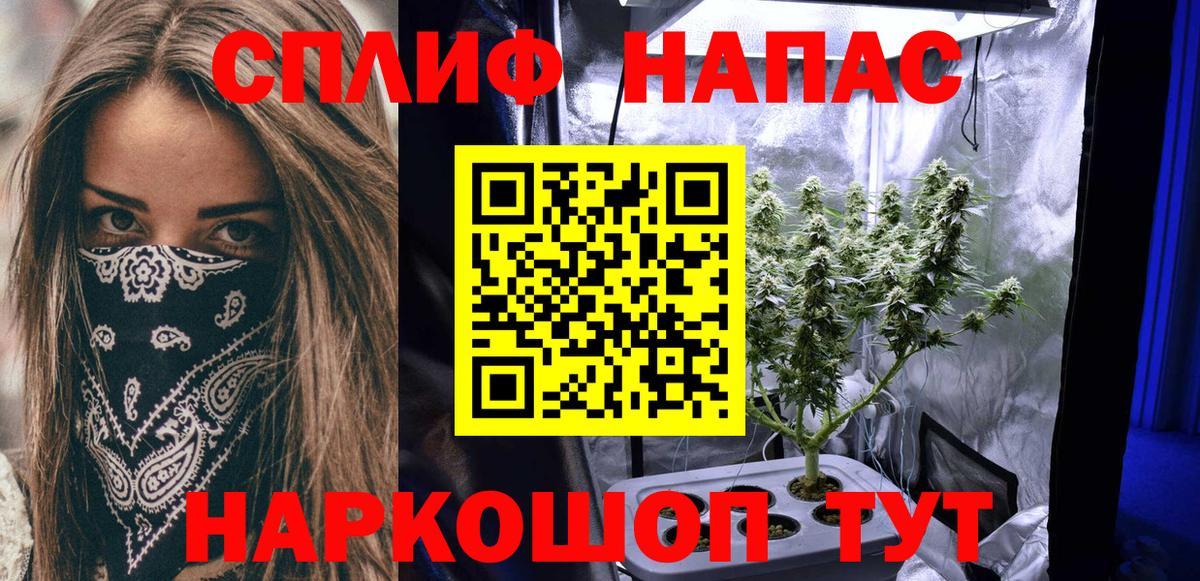 Каннабис план  Бошки Шишки THC 21%  Конопля White Widow  Камышин  Вход с VPN  Марихуана OG Kush 